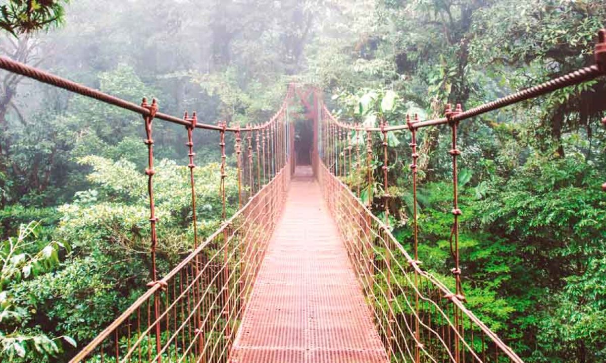 Viagi:2 COSTA RICA ESPECIAL Desde: $615.00 USD En ocupación Doble